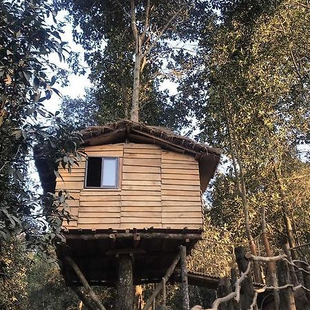 Bunjungle Adventures Hotel Kathmandu Bagian luar foto