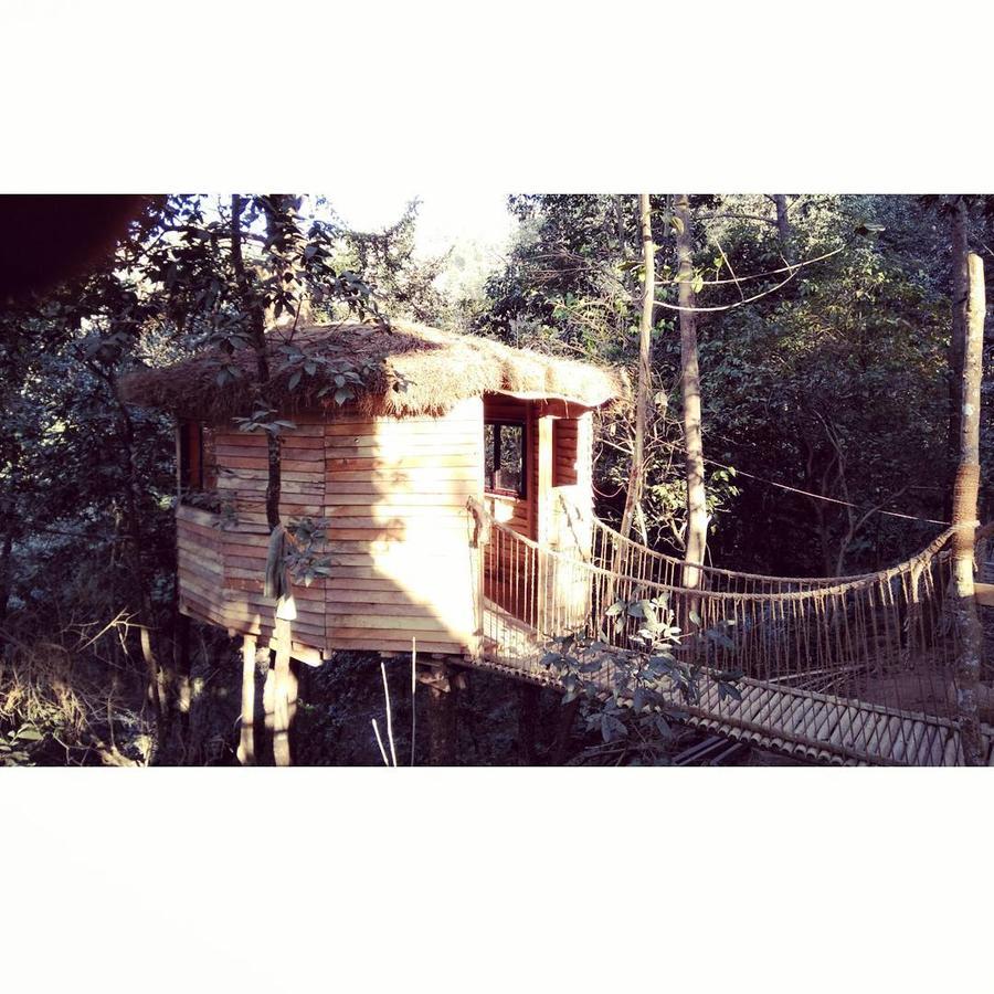 Bunjungle Adventures Hotel Kathmandu Bagian luar foto
